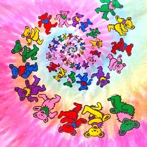 VTG 95 Grateful Dead Bear Spiral. Liquid Blue. S